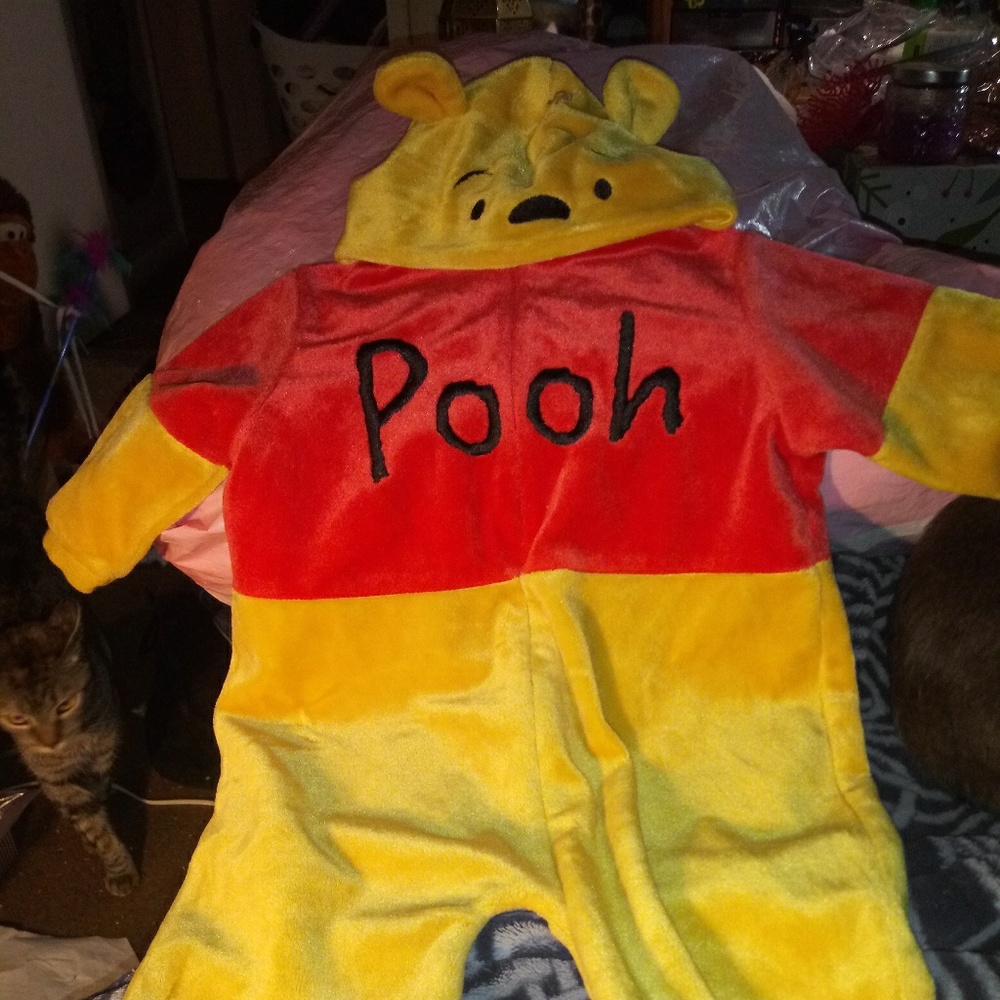 Winnie the Pooh Costume size 6-9mos